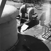 Dristigheten skjutskador