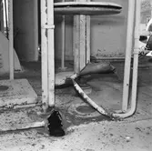 Dristigheten skjutskador