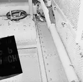 Dristigheten skjutskador