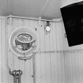 Dristigheten skjutskador