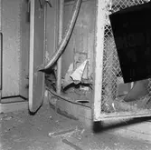 Dristigheten skjutskador