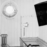 Dristigheten skjutskador