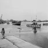 Thetis gasningsjakt flör fiskeristyrelsen sjösättning