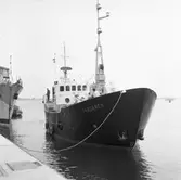 Vid kaj i svajningsrummet