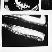 Älvsnabben (repro av foto kugghjul hjälpdisel)