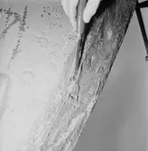 Oljepråmen Bersek bottenbehabdling skrovsekt.