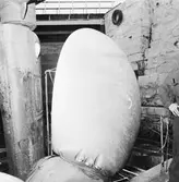  Normandia frätskador