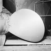  Normandia frätskador