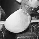  Normandia frätskador