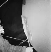 Göta Lejon propellerskada