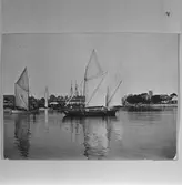 Blekinge muséum äldre