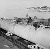 Torp.sekt skadad torpedtub