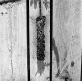 Korr.prov stål kopparok