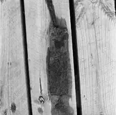 Korr.prov stål kopparok