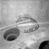 Ubåtarna Vargen och Delefinen korr i propellrarna