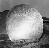 Ubåtarna Vargen och Delefinen korr i propellrarna