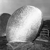 Ubåtarna Vargen och Delefinen korr i propellrarna