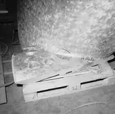 Ubåtarna Vargen och Delefinen korr i propellrarna