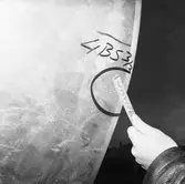 Ubåtarna Vargen och Delefinen korr i propellrarna