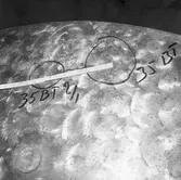 Ubåtarna Vargen och Delefinen korr i propellrarna