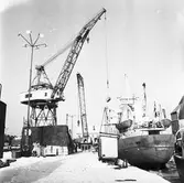 Sunnahav (Lidköping) vid kaj