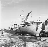 M/s Arica Helsingfors i oscarsdockan