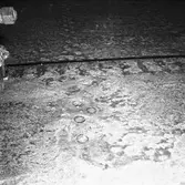 M/s Arica bottenlådor o nitar