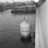 Belos dykarklocka ext o int, däck