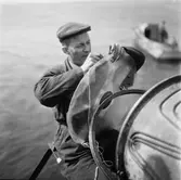 Toredpsekt. torpedskjutning prov med lucka