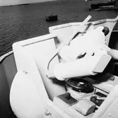 Göta Lejon kikarsikte