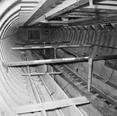 Träminsveparen nyb. 292