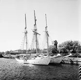 Gladan o Falken vid mob.kajen