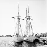 Gladan o Falken vid mob.kajen