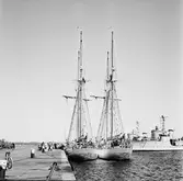 Gladan o Falken vid mob.kajen