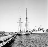 Gladan o Falken vid mob.kajen