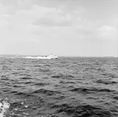 T 48 provtur till sjöss