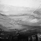 M/s Carllen tysk båt i docka 5 haveri bottenskador