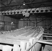 Nyb. 296-298 i msvp. hallen spantresning