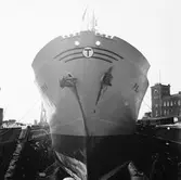 M/s Peony London i oscarsdockan