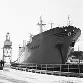 M/s Peony London i oscarsdockan