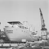 M/s Peony London i oscarsdockan