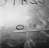 Ubåten Gripen propellerskada