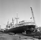 M/s Salambria i oscarsdockan