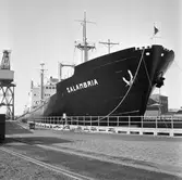 M/s Salambria i oscarsdockan