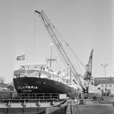 M/s Salambria i oscarsdockan