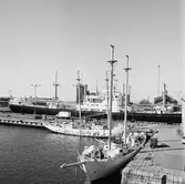 Civil båt i oscarsdockan samt Gladan o Falken vid kajen