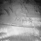 Ubåten Draken propellerskada