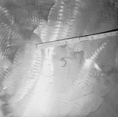 Ubåten Draken propellerskada