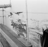 M/s Cygnus i oscarsdockan plåtskador