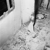 M/s Cygnus i oscarsdockan plåtskador